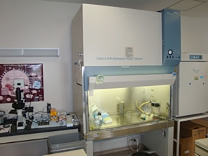 Biological Safety Cabinet (Astec)